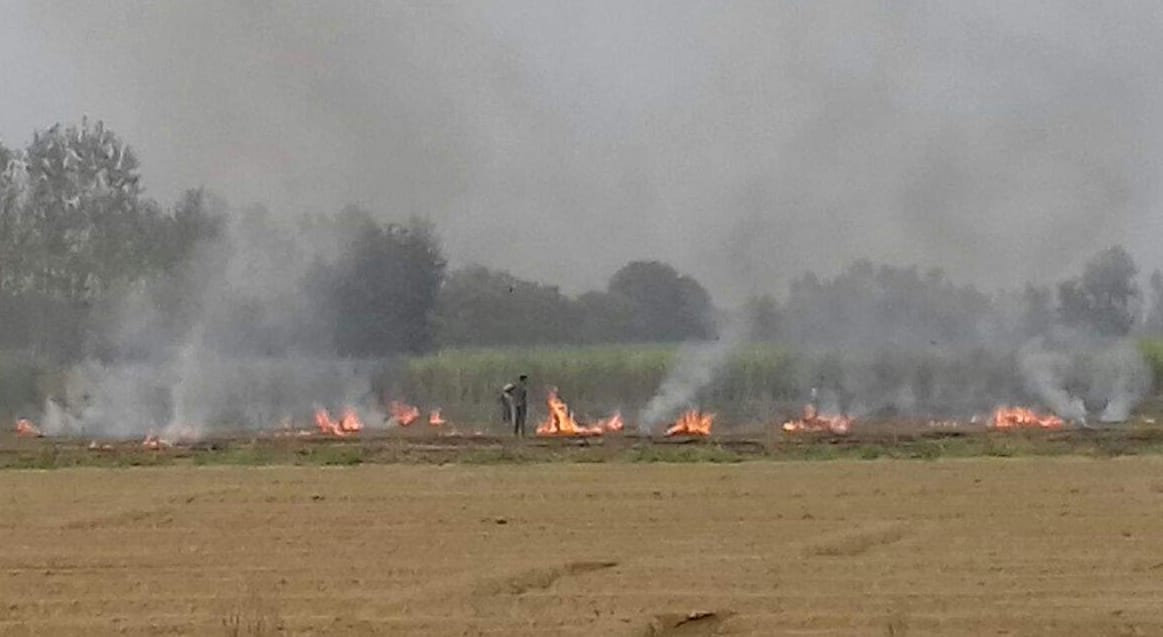 parali jalai to hoga 15 hajar ka jurmana