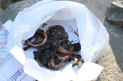 half burn women dead body found in nainital