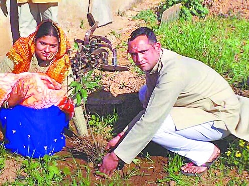 Planting on the naming of daughter