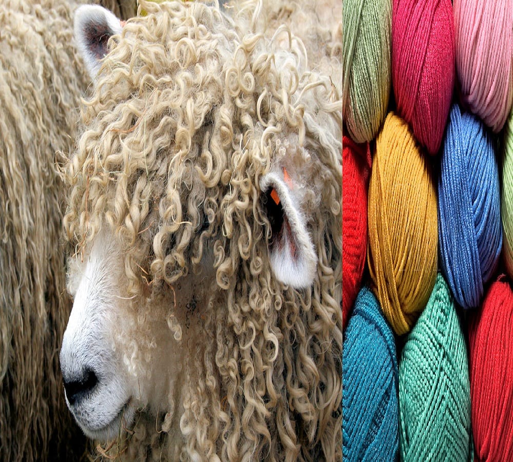 Know When did Wool Detection and woolen clothes comes in human life 