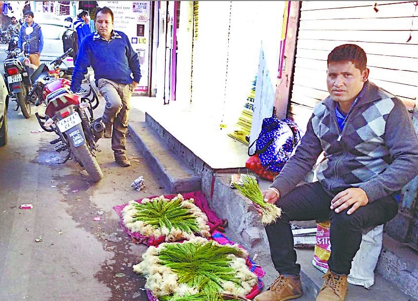 Famous Onion Plant of the Gagaas Valley reached the market by fields