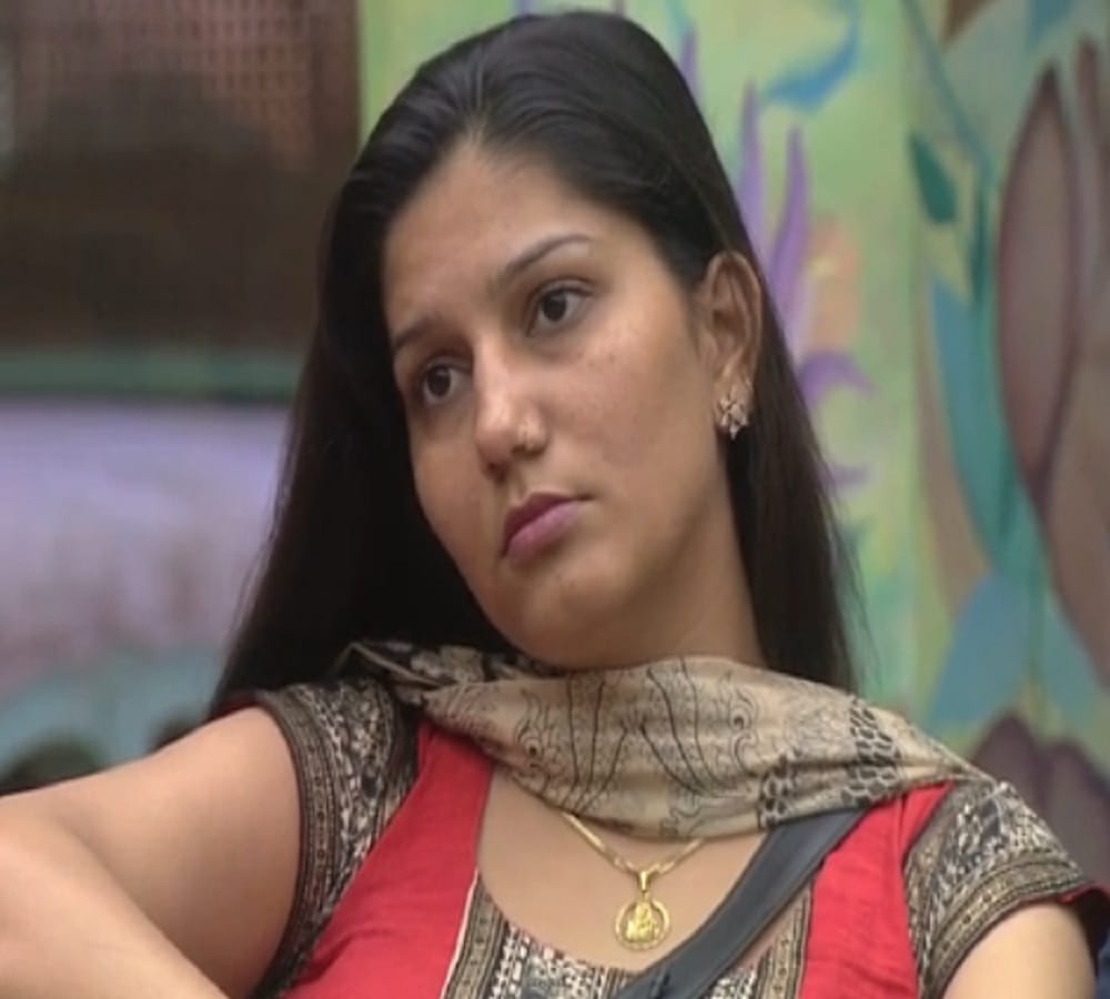 sapna chaudhary, bigg boss 11 season contestant