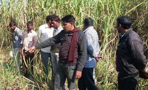 खेत की रखवाली कर रहे श्रमिक पर बाघ ने किया हमला