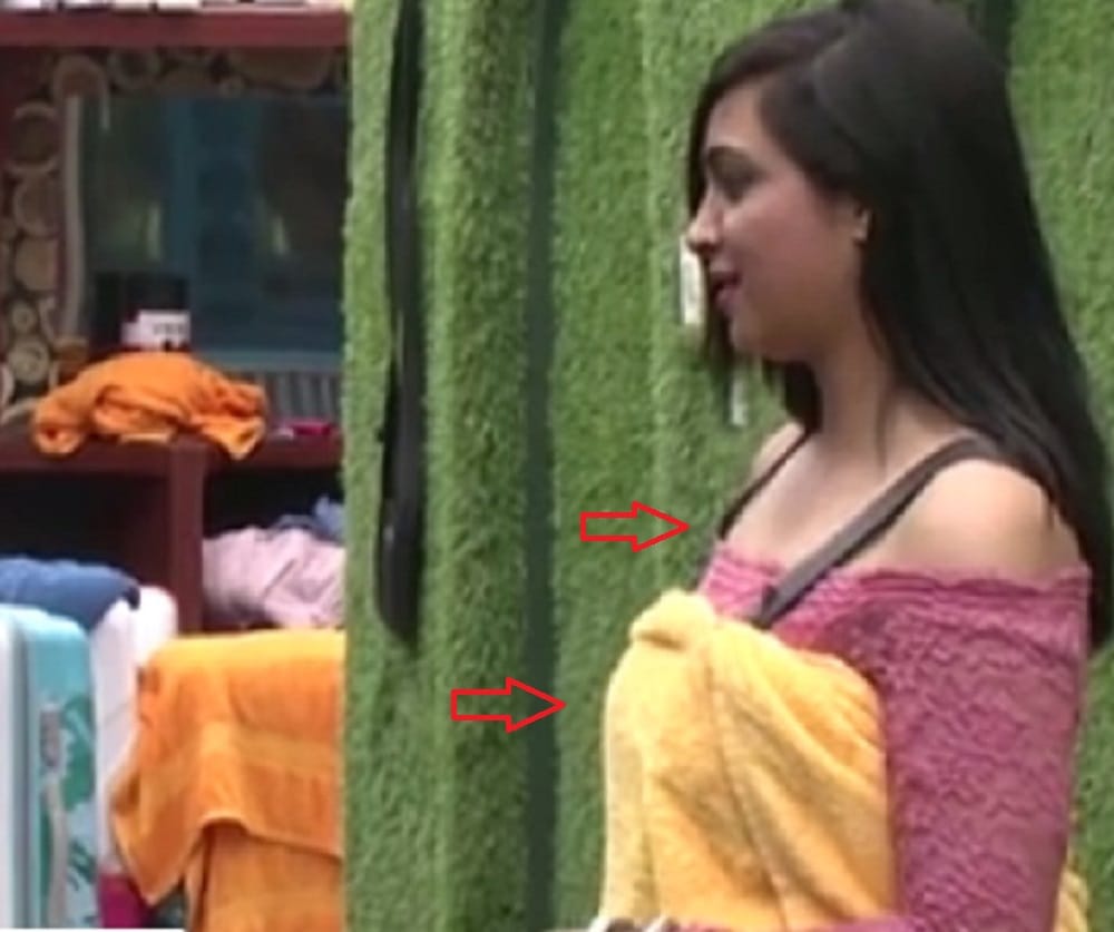  south actress reveals about bigg boss ex contestant arshi khan age and criminal case