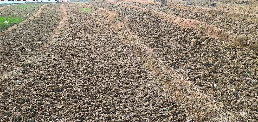 Drought in all the villages of ascot area