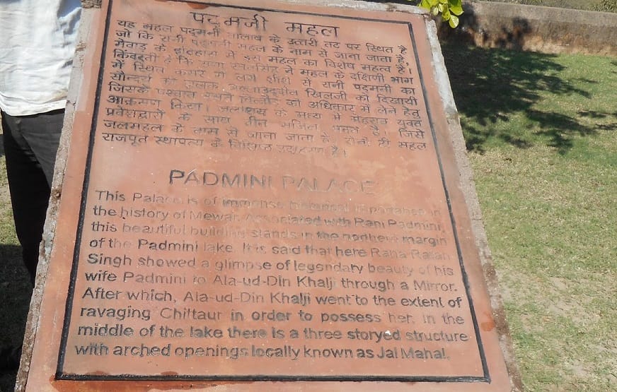 padmavati row: Archaeological department covered story of padmini with cloth