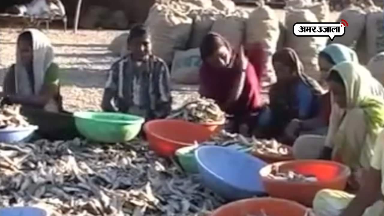 पोरबंदर