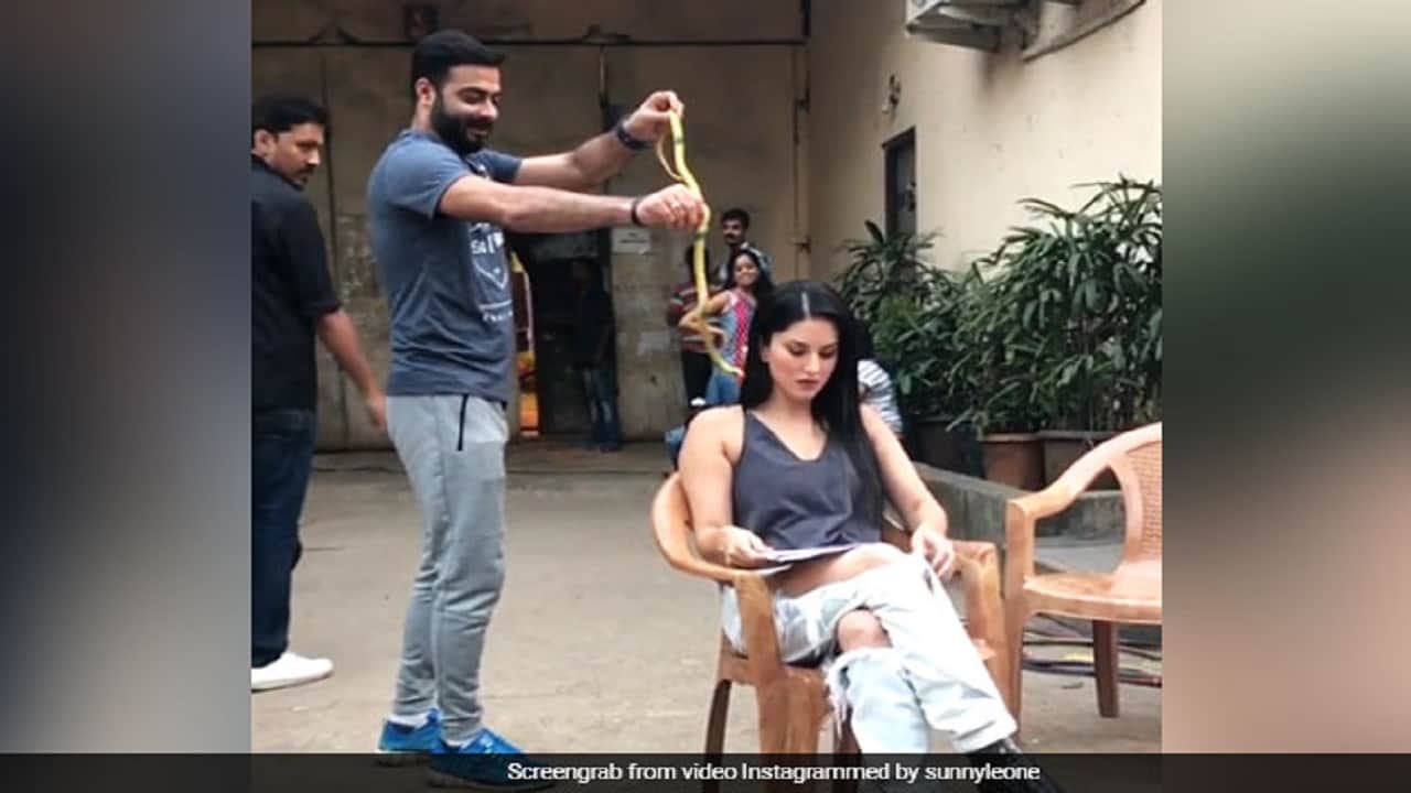 सनी लियोनी