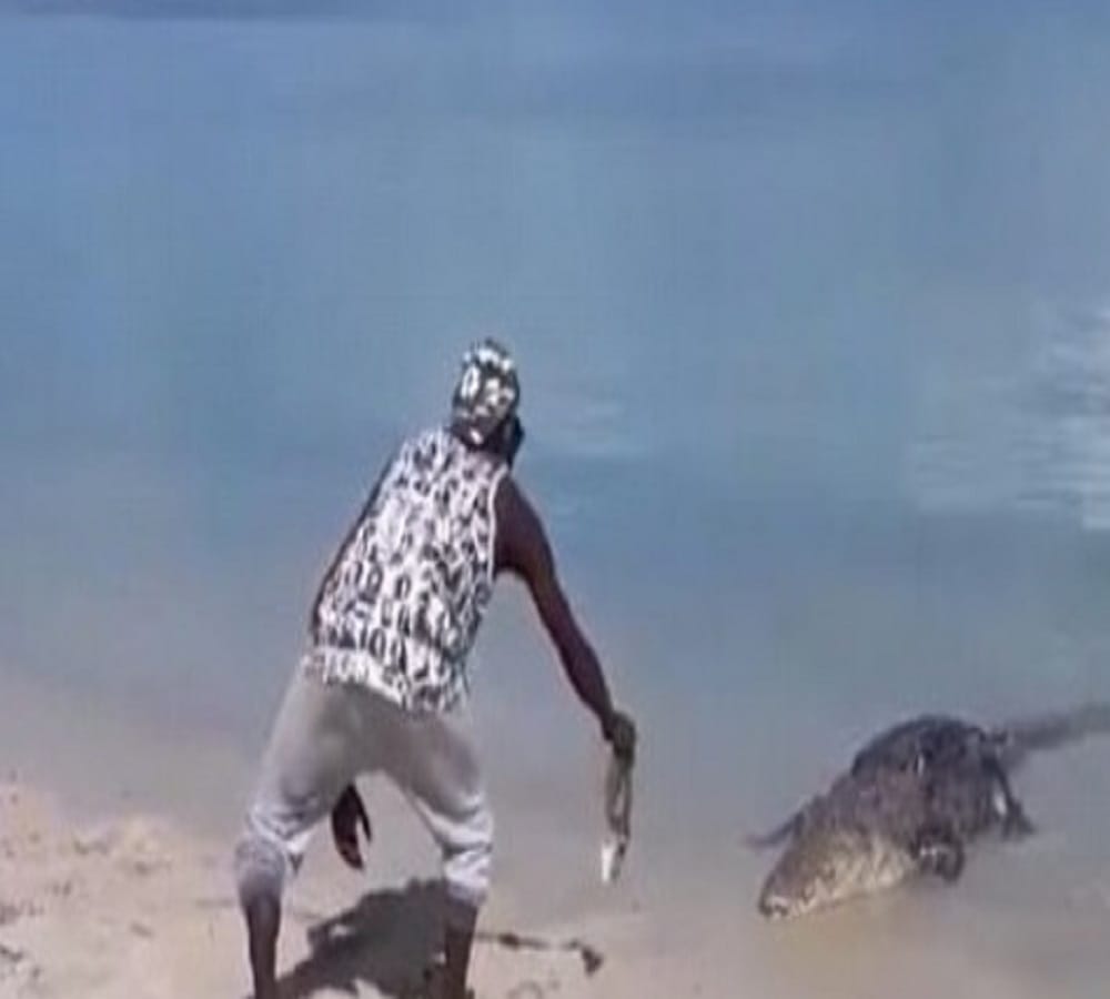 Man feeding crocodile video goes viral on Internet