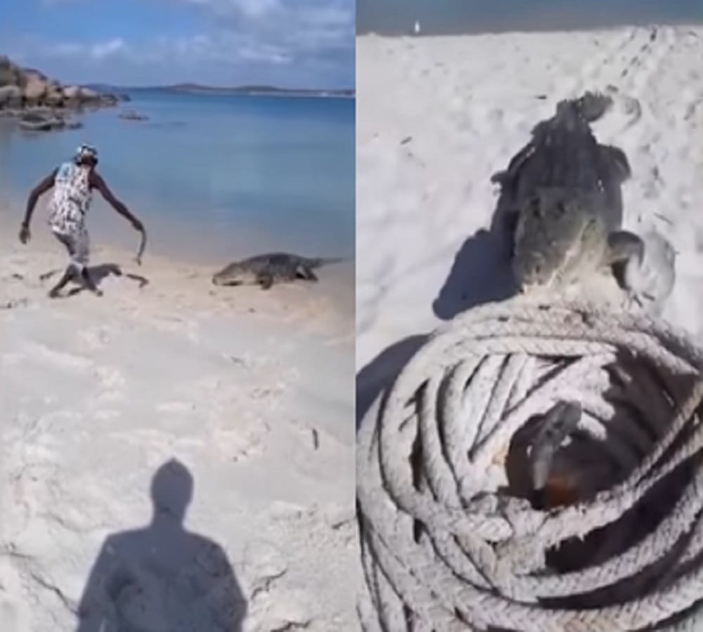 Man feeding crocodile video goes viral on Internet