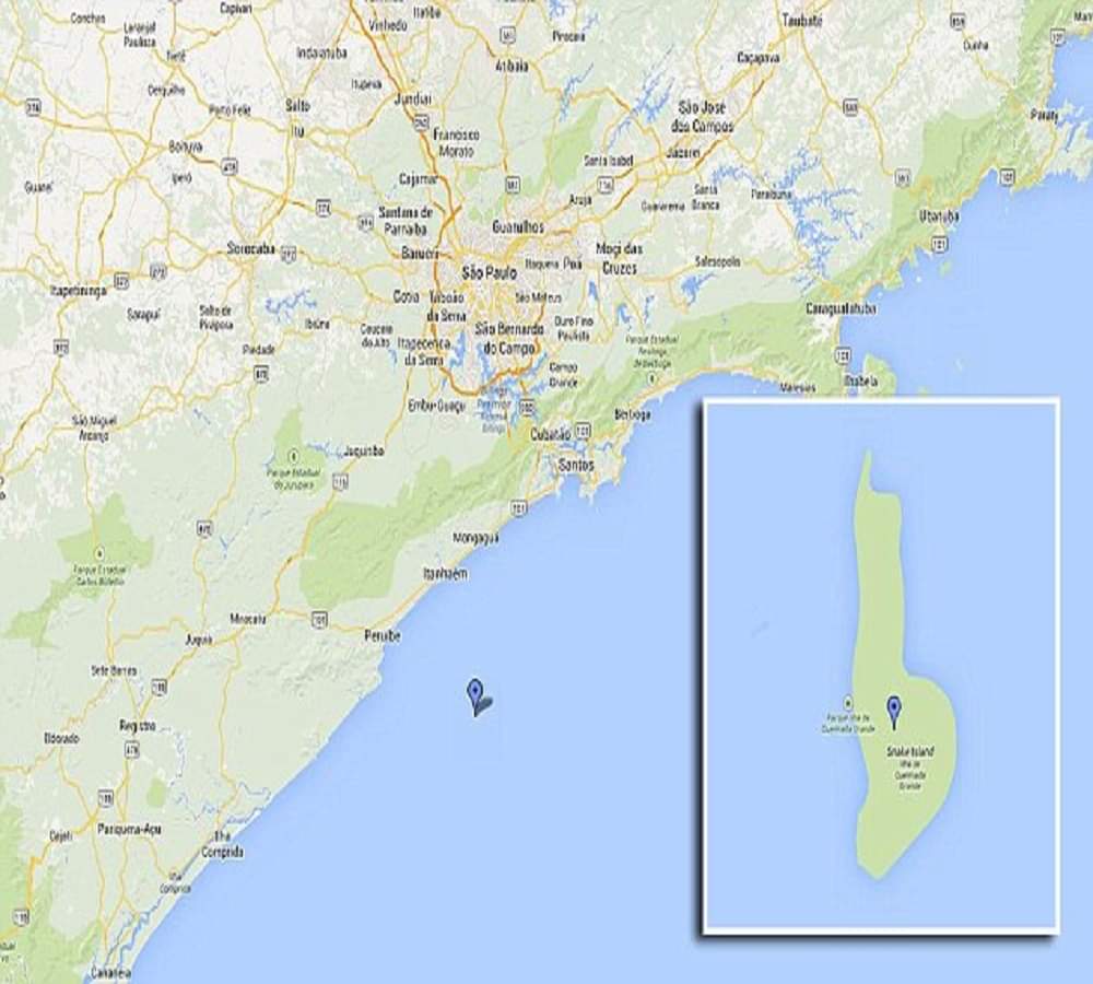 Stay away from this worlds deadliest snake island