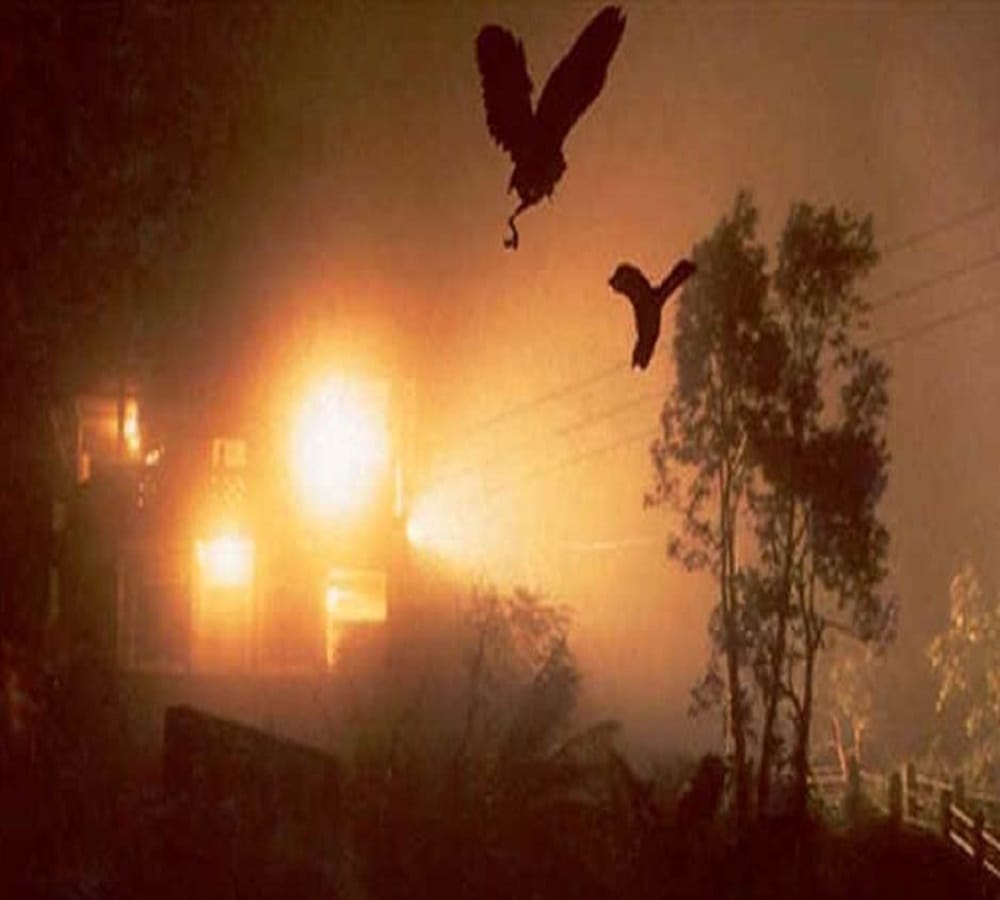 Suicide Point Of Birds at Jatinga Valley in Assam 