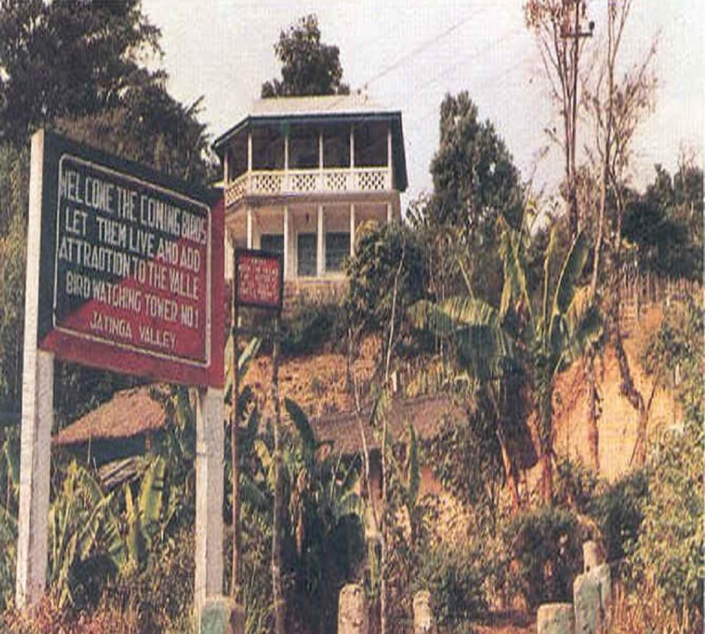 Suicide Point Of Birds at Jatinga Valley in Assam 