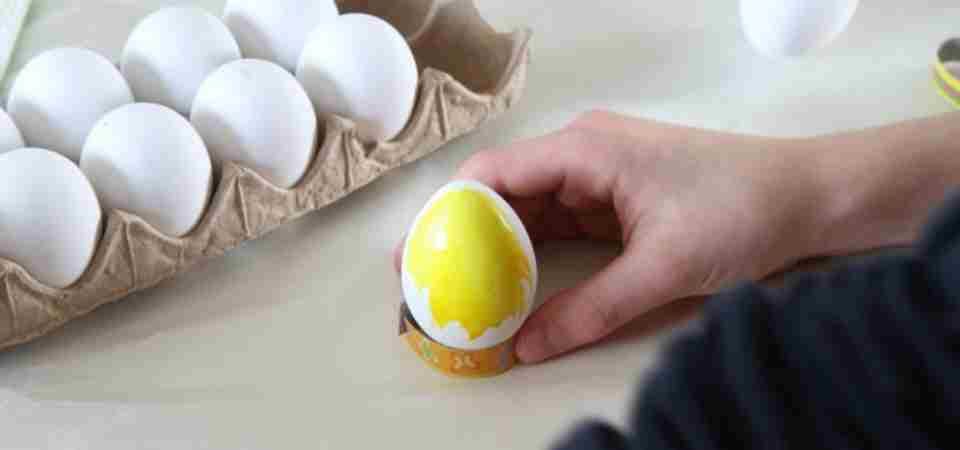 plastic egg in india, how to identify fake and real egg
