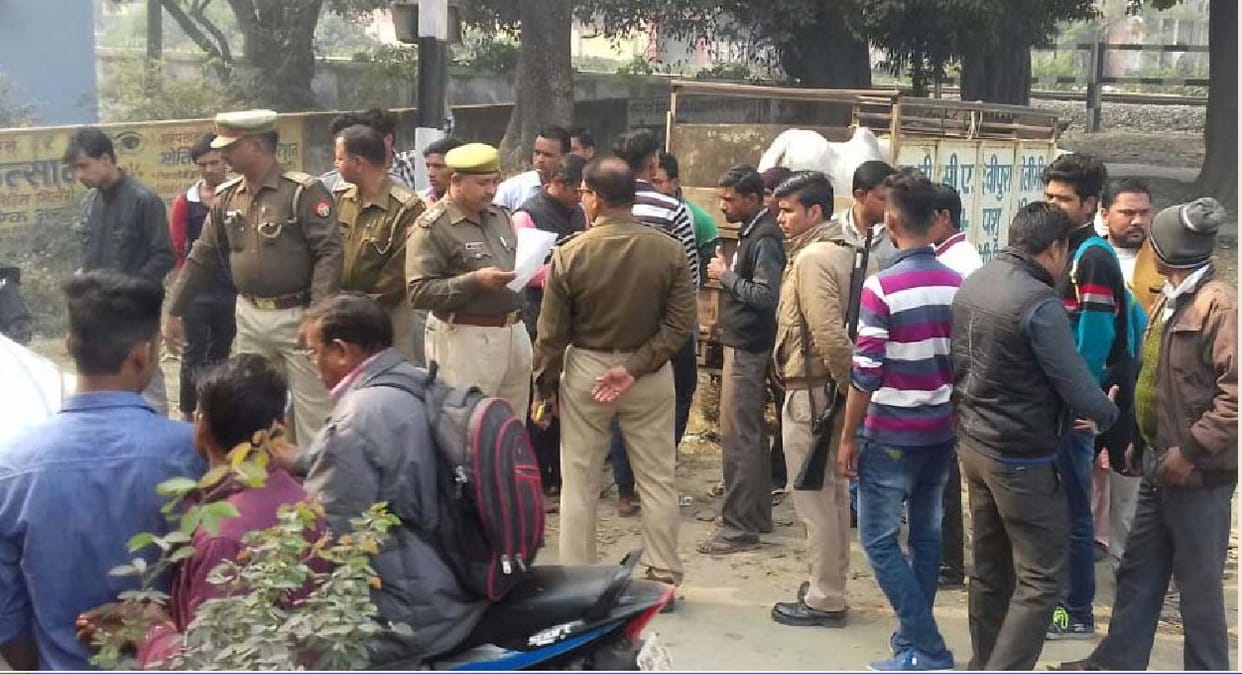 Govansh cattle cause grievous villagers