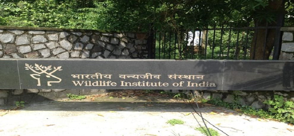 Vacancy for Biologist in Wild Life Institute of India