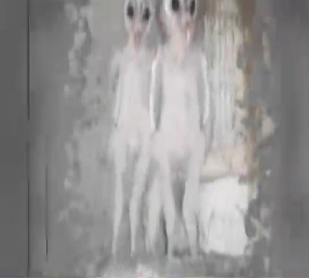 viral truths behind viral video of two aliens in vishakhapatnam