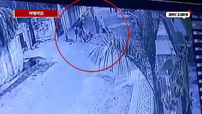 woman fights with chain snatcher in lucknow