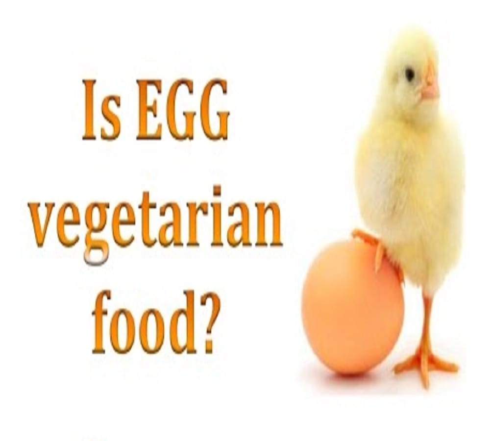 science giving the answer egg vegetarian or non vegetarian