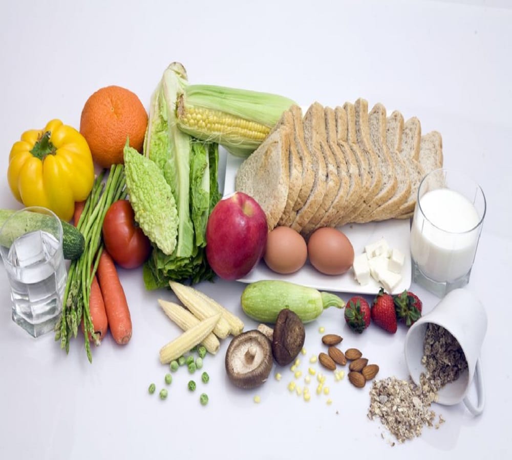 science giving the answer egg vegetarian or non vegetarian
