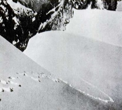 These samples reveals the truth of the yeti