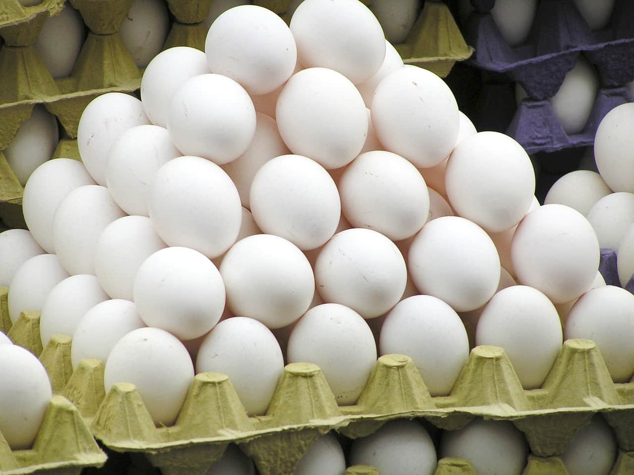 British men throws 72 crore eggs a year over best before date fears