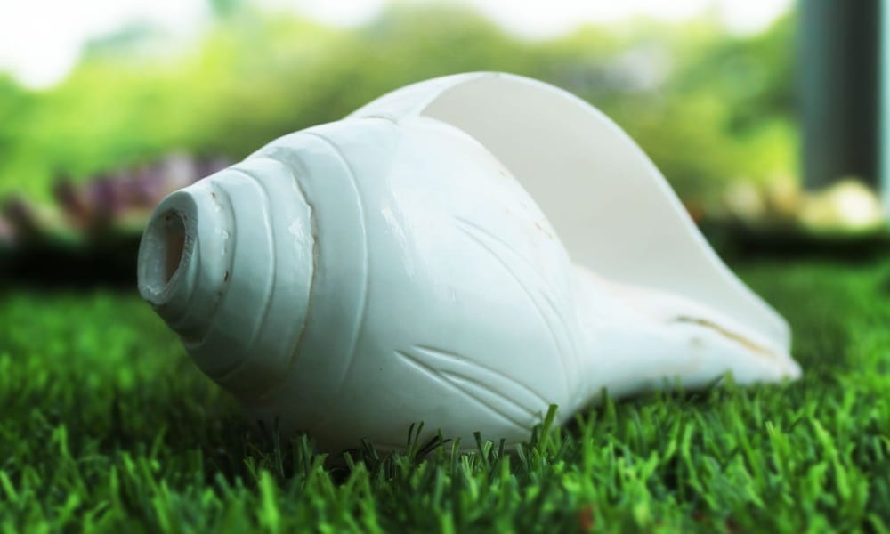 These 4 benefits are made by the sound of the conch