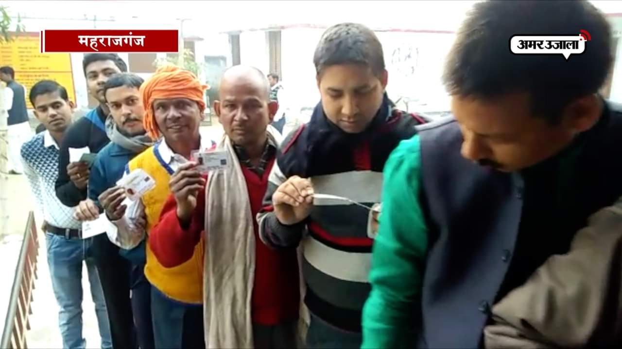 निकाय चुनाव