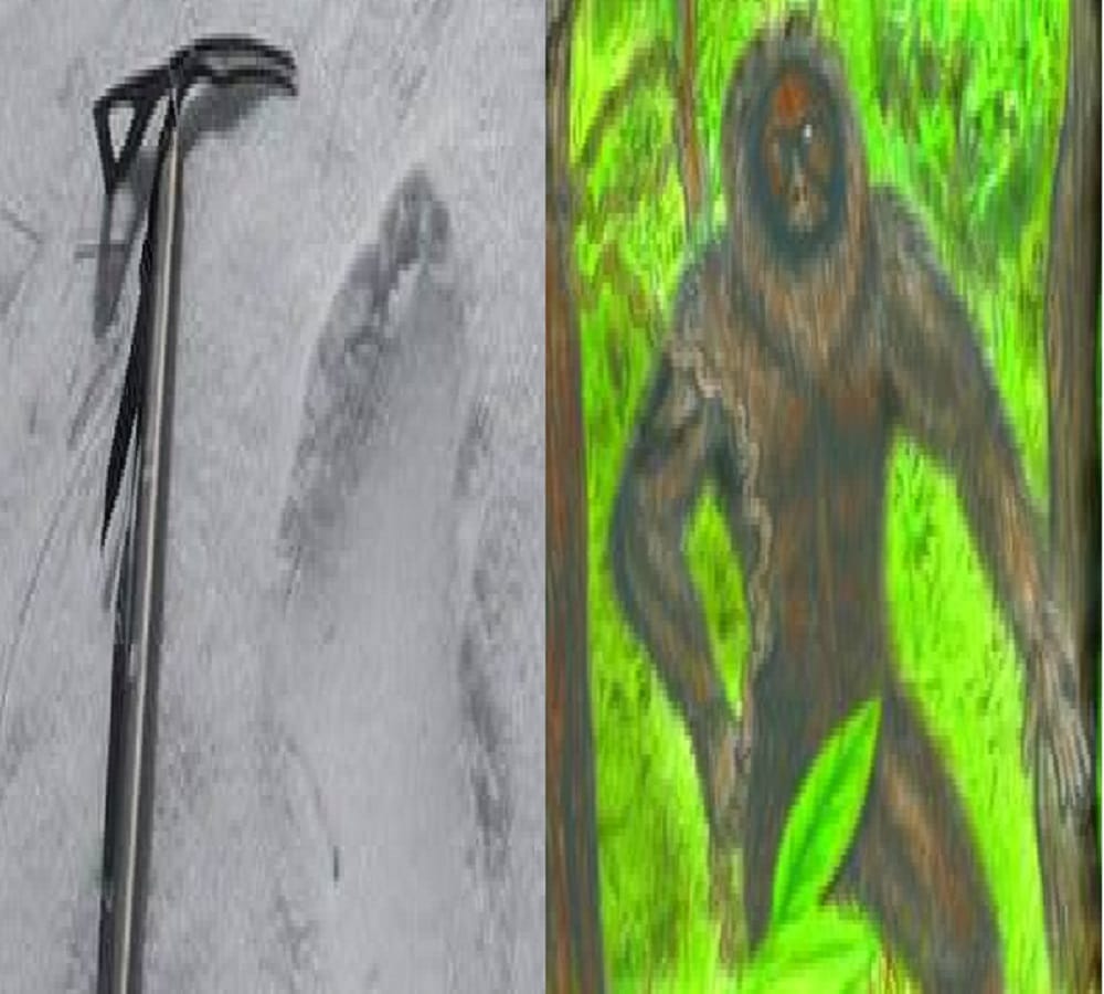 These samples reveals the truth of the yeti