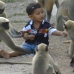 langur