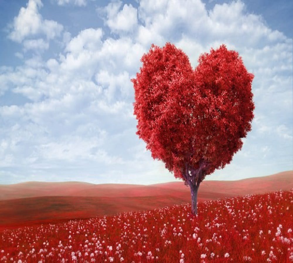 Know what research love at first sight or happens fourth sight 