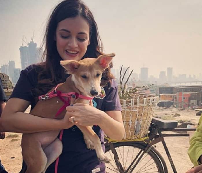 Dia Mirza appointed UN Environment Goodwill Ambassador for India 