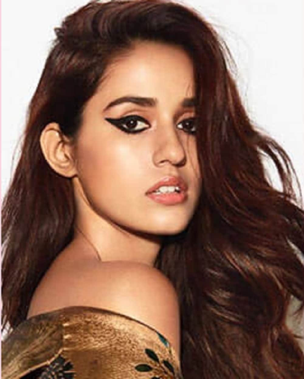 actress disha patani trolled for picture on instagram