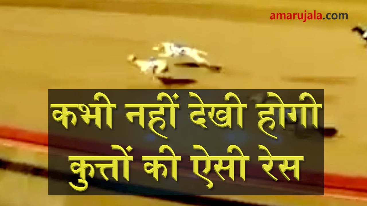 Dog race in Qatar shall leave you biting nails special story