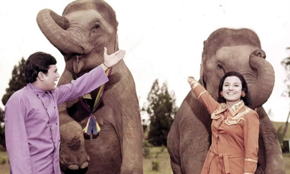 Rana Daggubati new film is trilingual who remake of late actor Rajesh Khanna film Haathi Mere Saathi