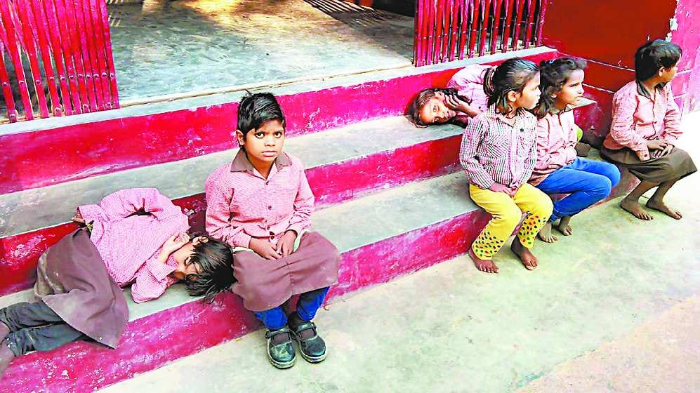 14 school children sick by eating Jatropha