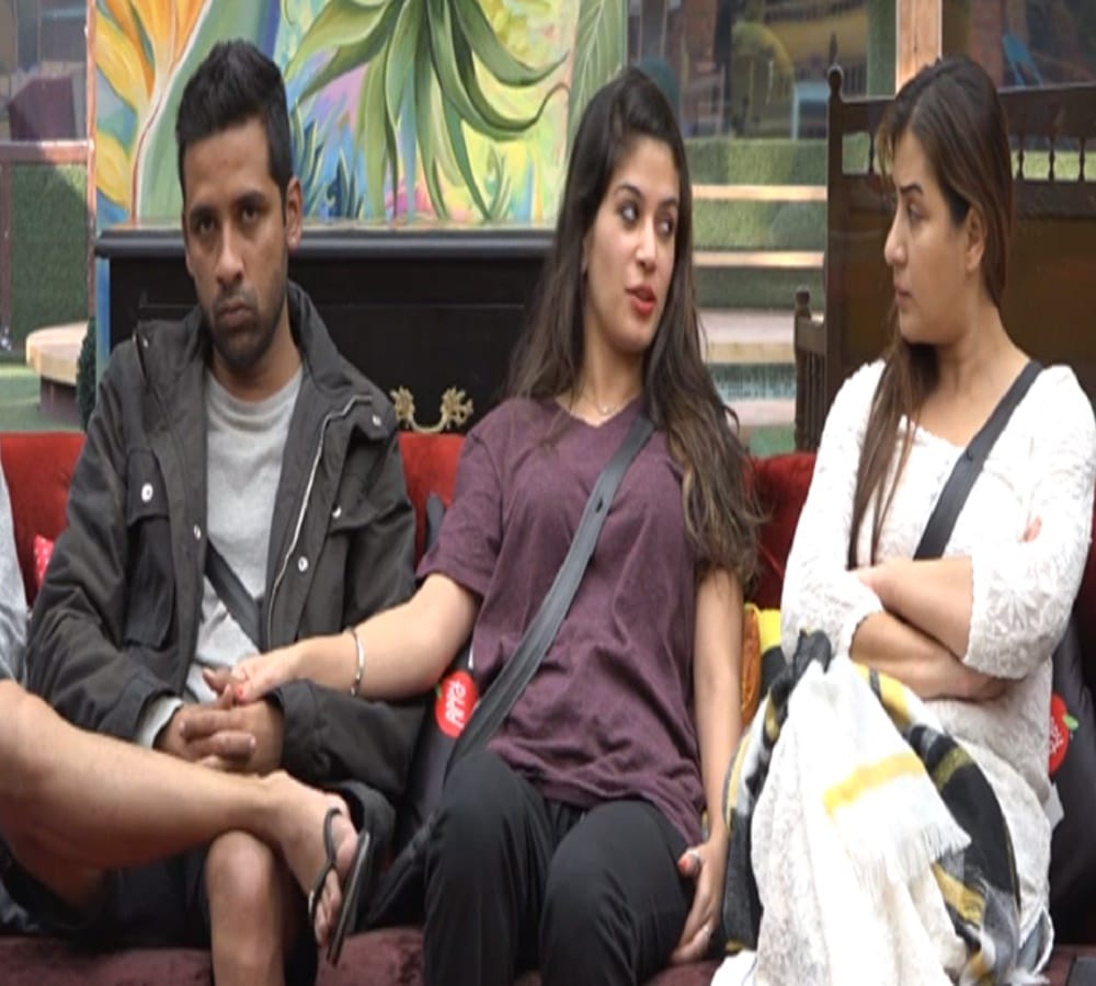 Bigg Boss 11 gets big success on TRP charts 