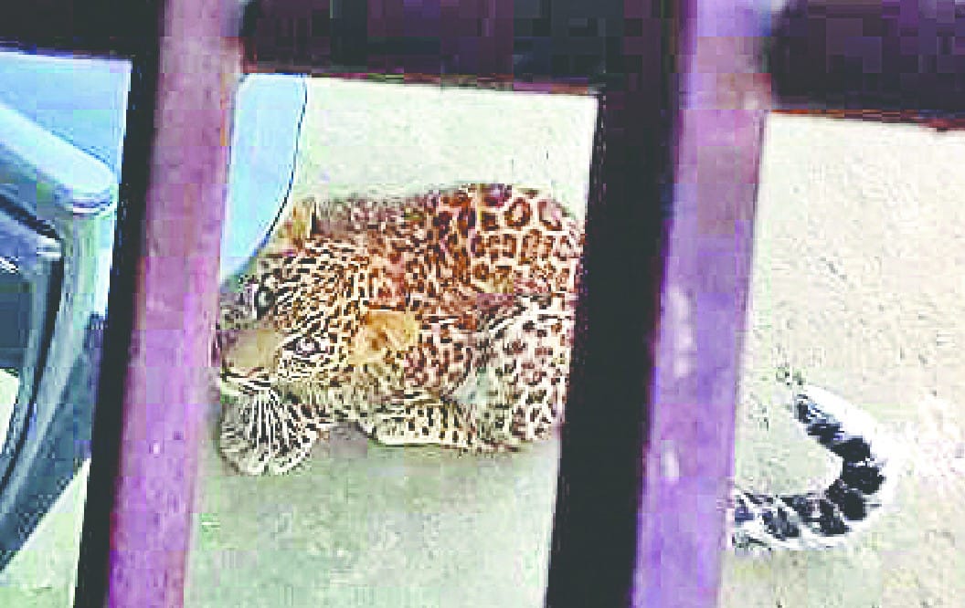 Guldar sit four hours in front of house at rishikesh