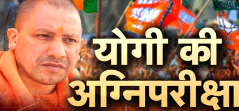 five reason why nikay chunav results are important for future of bjp