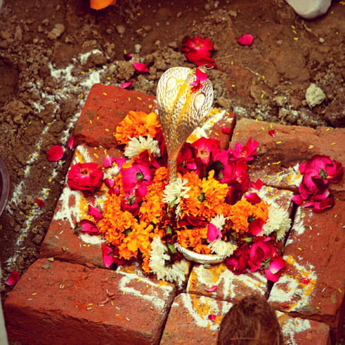 know why is Silver snake worshiped at the time of bhoomi pujan