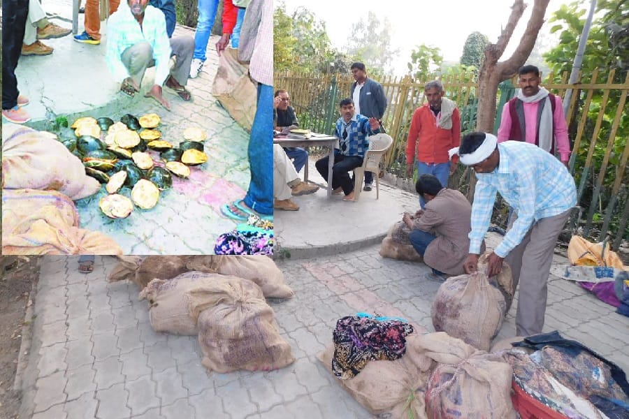 tortoise smuggler found in railway station bring from West Bengal