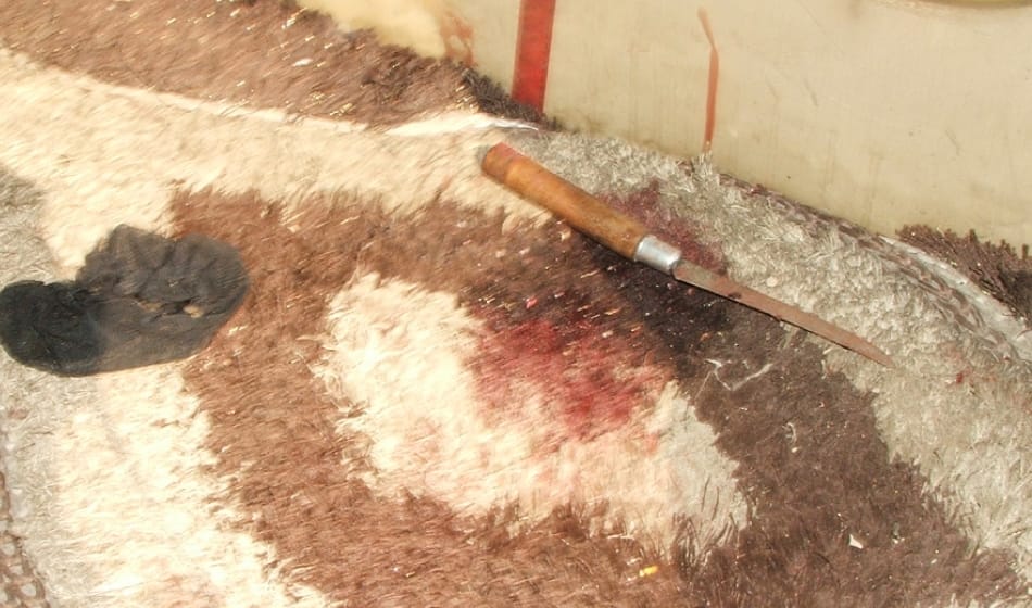 lovers tried to kill each other as their parents were against their marriage