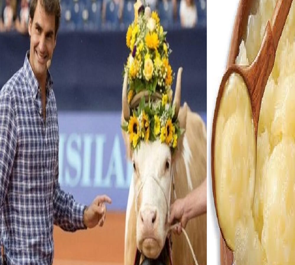 players got ghee and cow in the reward