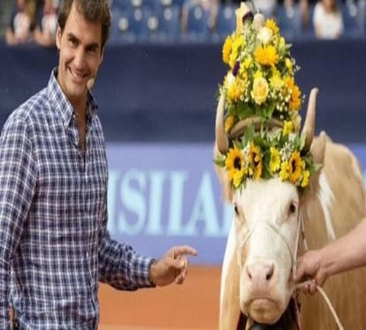 players got ghee and cow in the reward