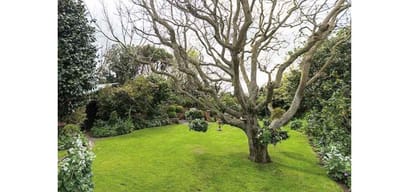 Indian couple botanical garden came to limelight in new zealand