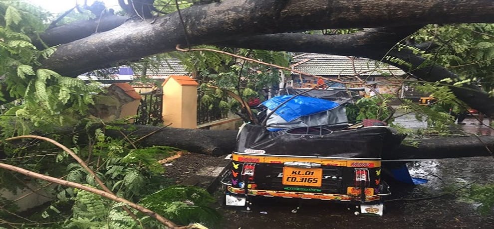 storm Okhi pogrom in Kerala, Tamilnadu and Lakshadweep
