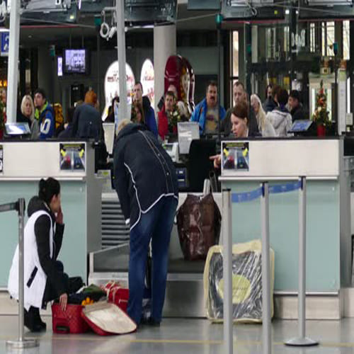 officer found 200 live cockroaches in a chinese couple luggage  at airport in Guangdong