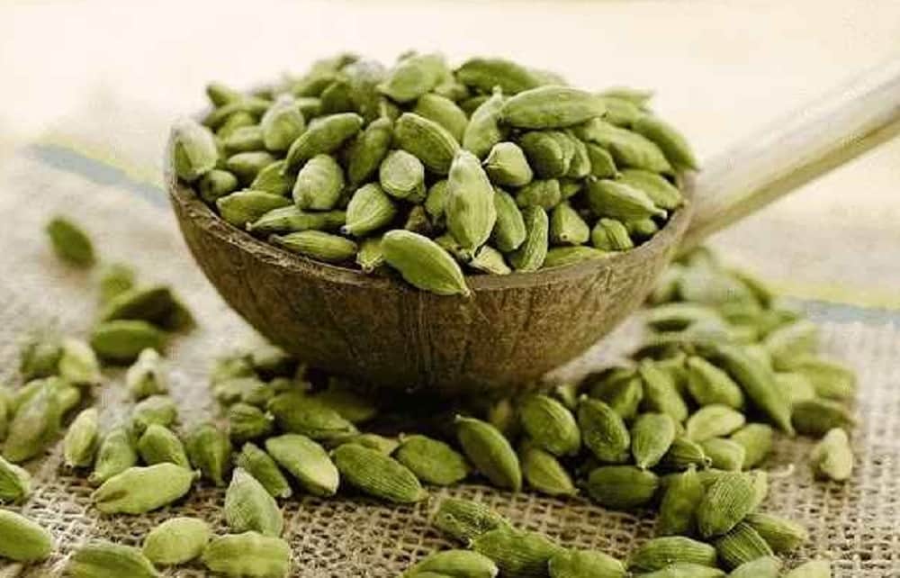 elaichi use can burn fat
