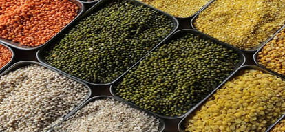if you eat pulses in lunch and dinner this news only for you
