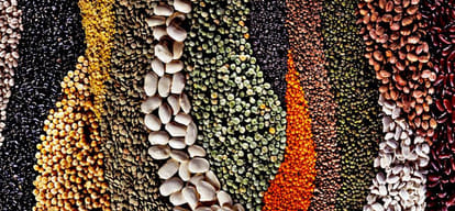 if you eat pulses in lunch and dinner this news only for you